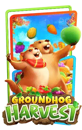 เบทฟิก Groundhog-Harvest